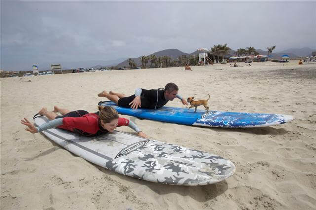 Learning-to-Surf