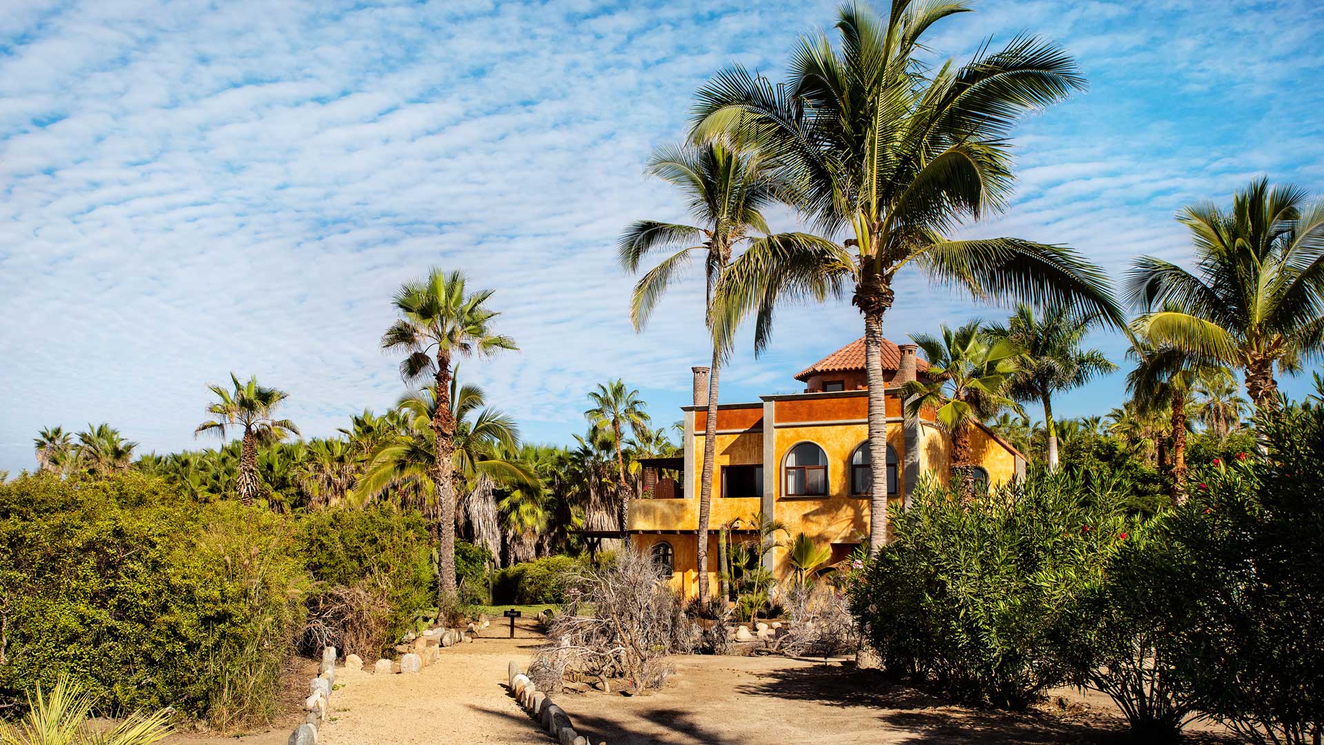 Gallery Todos Santos Boutique Hotel, Baja Mexico